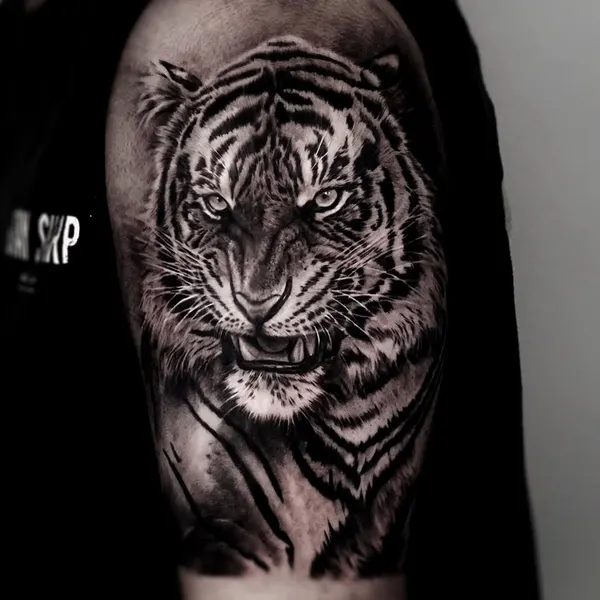 Tiger, 일본 호랑이, 중국 호랑이, 한국 호랑이