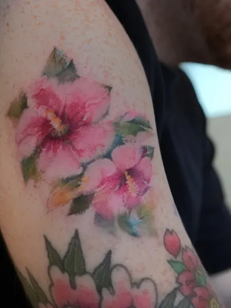 Flower, Rose, 매화, 벚꽃