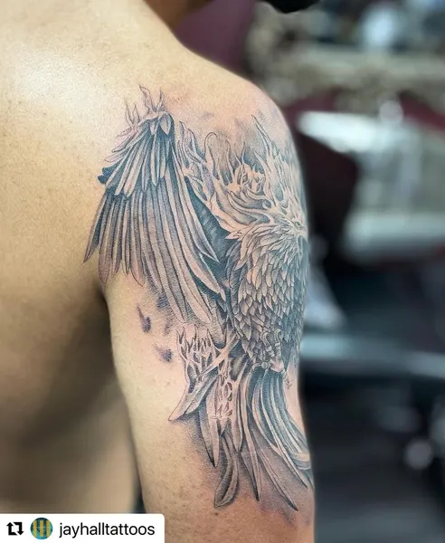 Dragon, 불사조