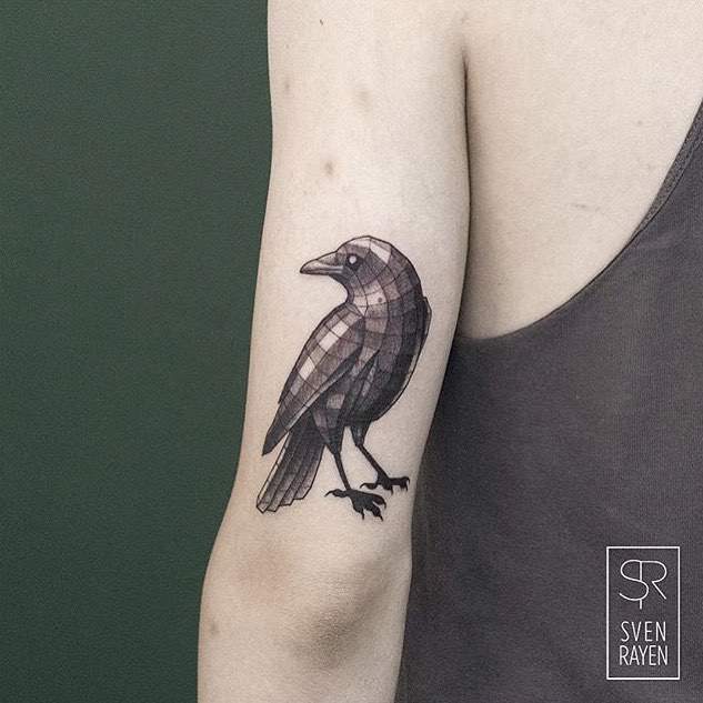 새, 학, Animal