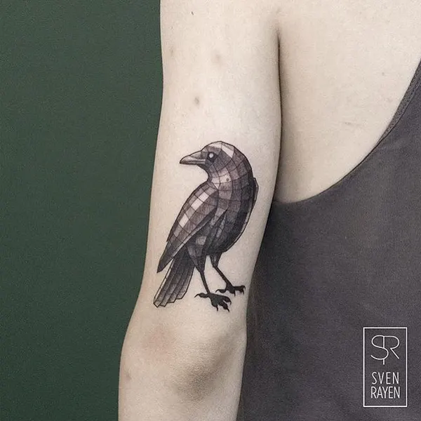 새, 학, Animal