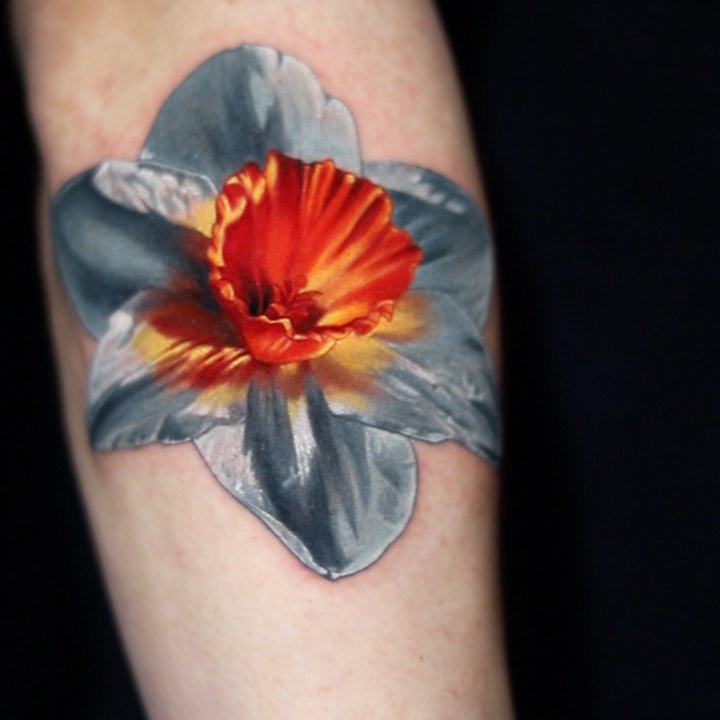 Flower, 튤립, 수선화, 양귀비