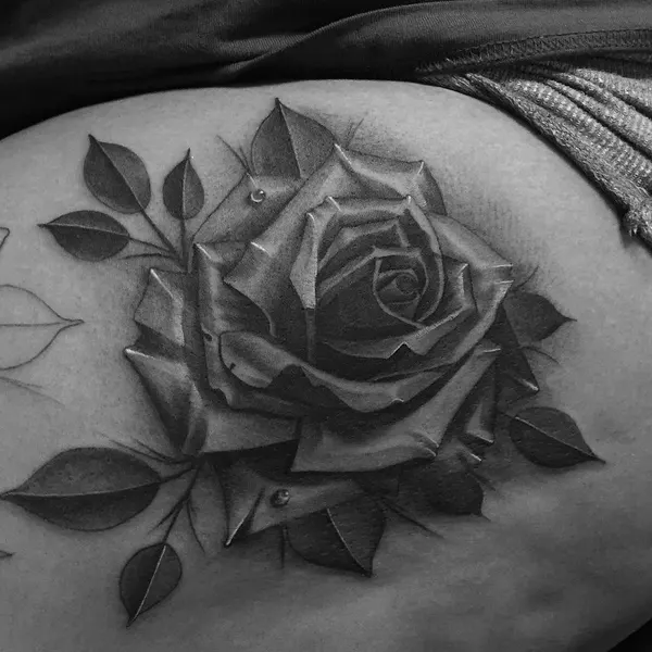 Flower, Rose, Nature