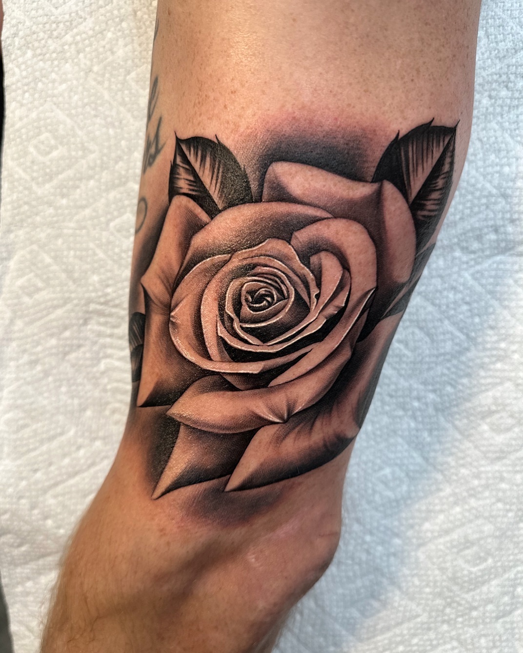 Flower, Rose