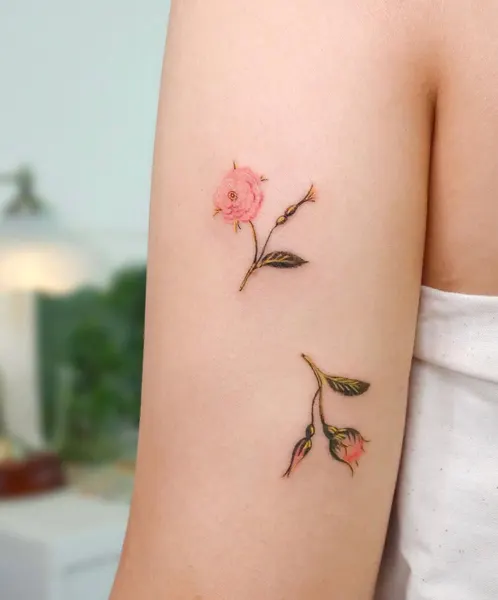 Flower, Rose