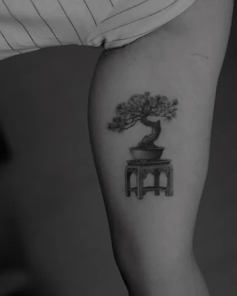 Nature, 피아노