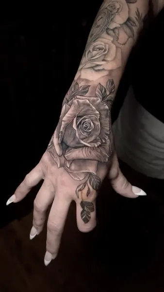 Flower, Rose
