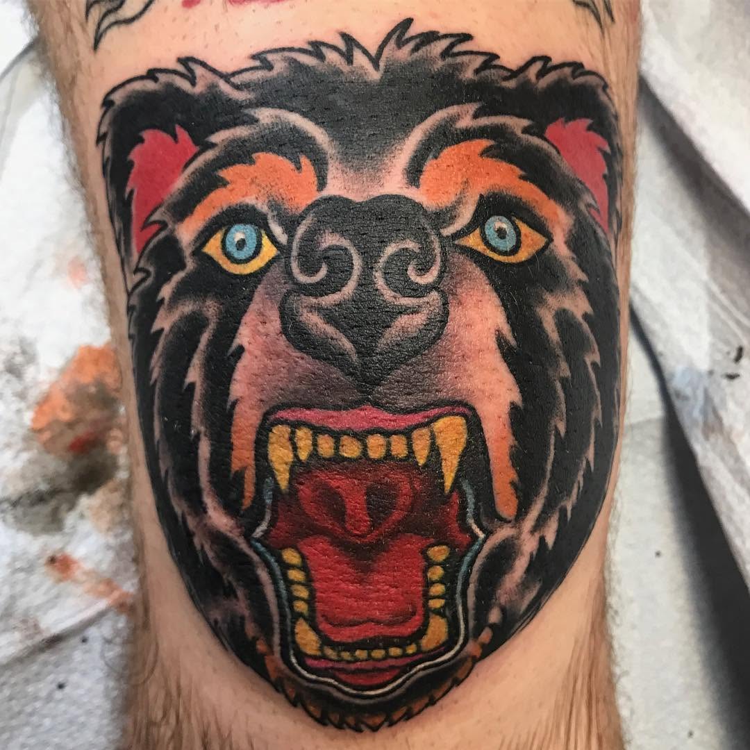 Animal, Tiger, 고릴라