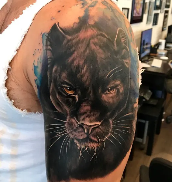 Animal, 팬서