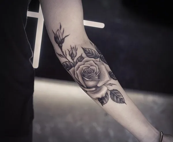 Flower, Rose