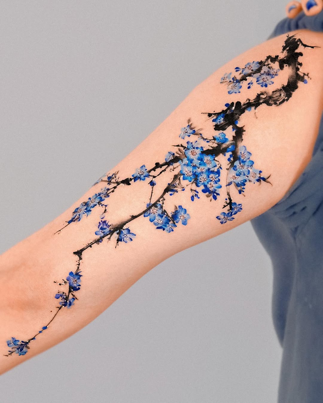 Flower, 벚꽃