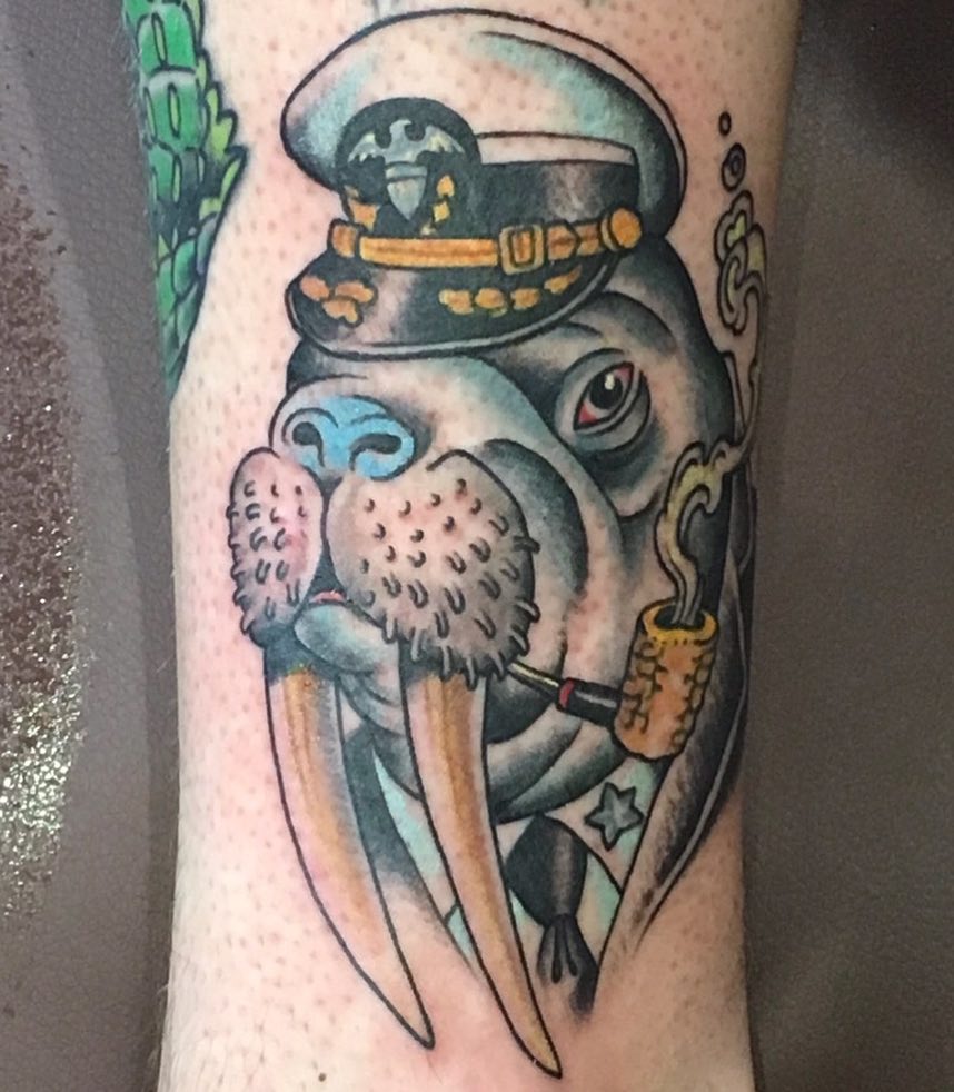 Tiger, Animal