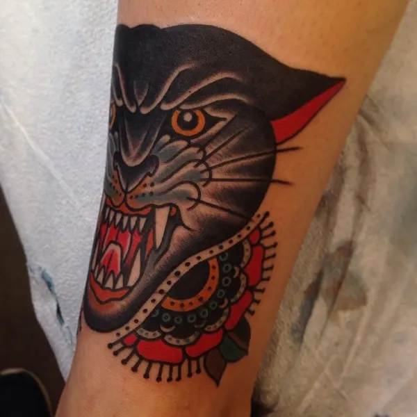 Animal, Tiger