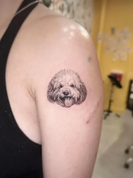 Animal