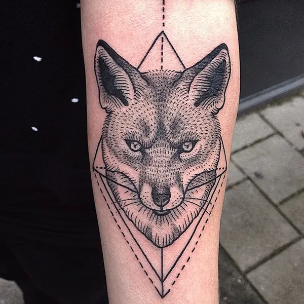 Animal, 여우
