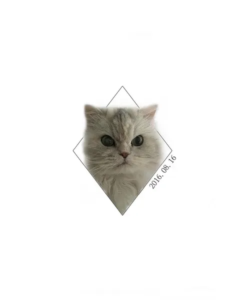 Animal, 여우 가면, 카타나, 마네키네코