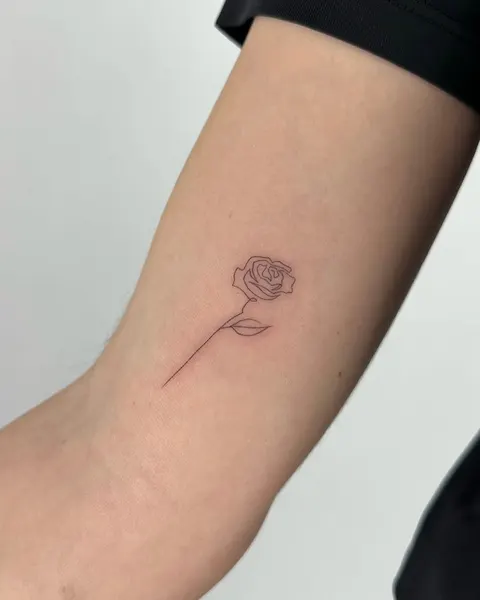 Flower, Rose, 눈물