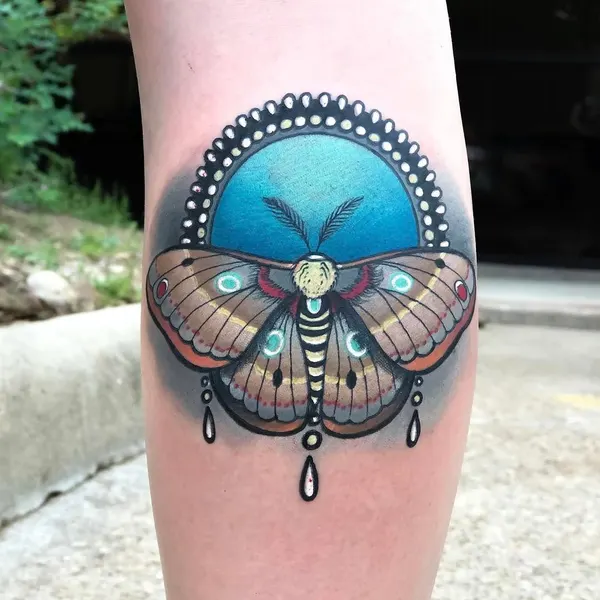 Animal, Nature, 딱정벌레, 매미