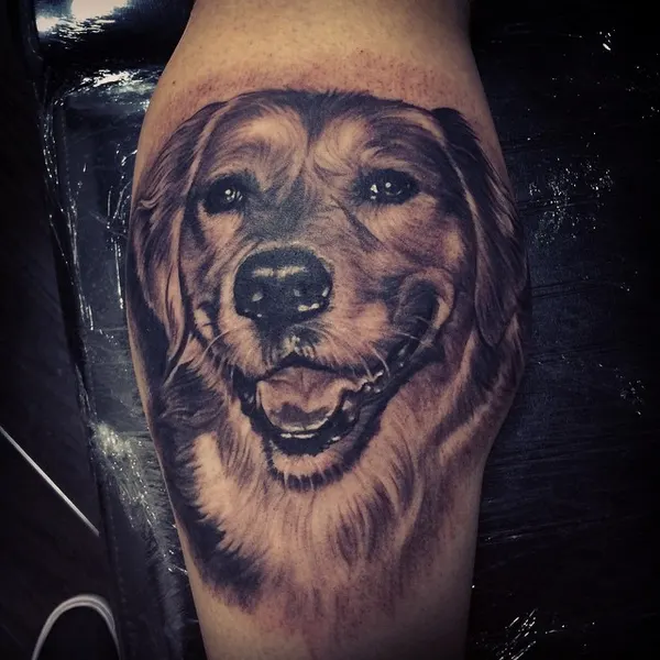 Animal