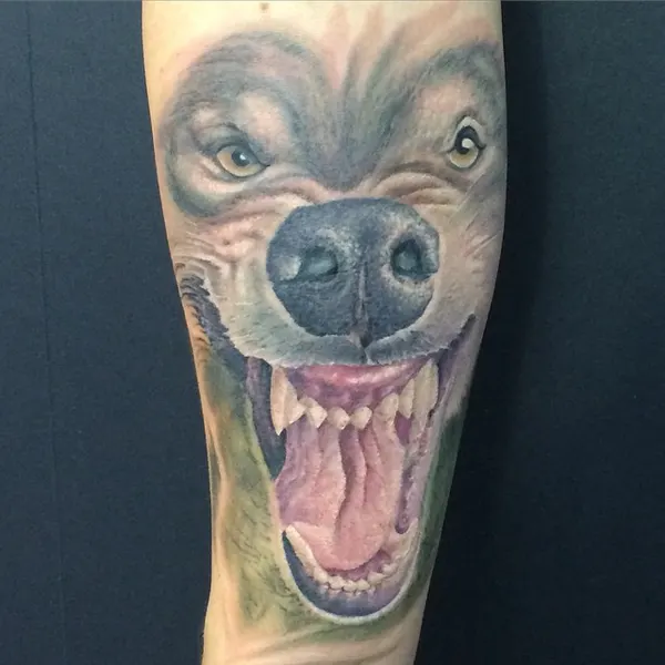 Tiger, Animal