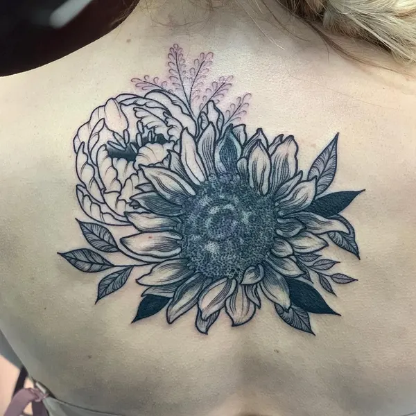Flower, Nature, Rose