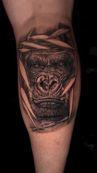 Animal, Tiger