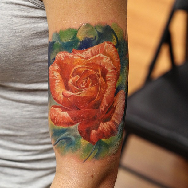 Flower, Rose, Nature
