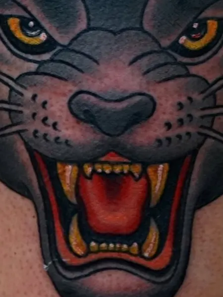 Tiger, Animal, 팬서