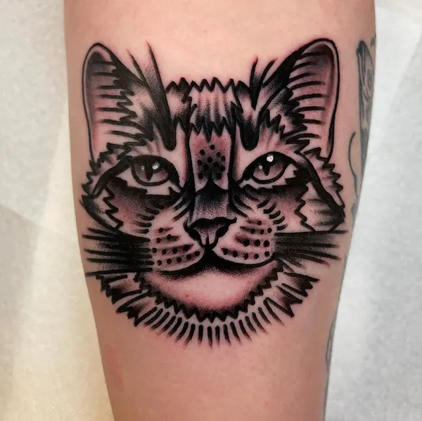 Animal