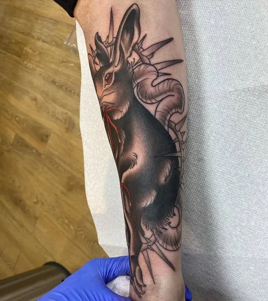 Animal
