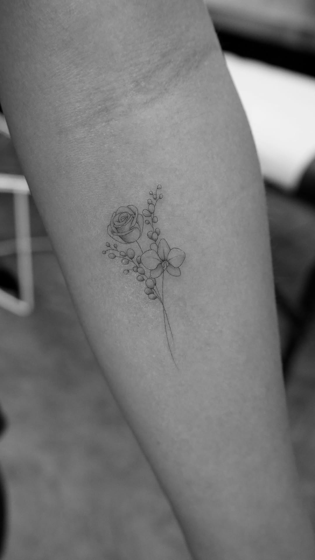 잎, Flower, 민들레, 수선화, 야생화, 카네이션, 한글, 함사, 게이샤, 아이리스, 이레즈미
