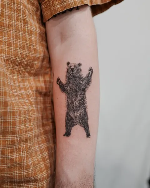 Animal, 곰, 너구리, 나무늘보, 텐구, 멧돼지