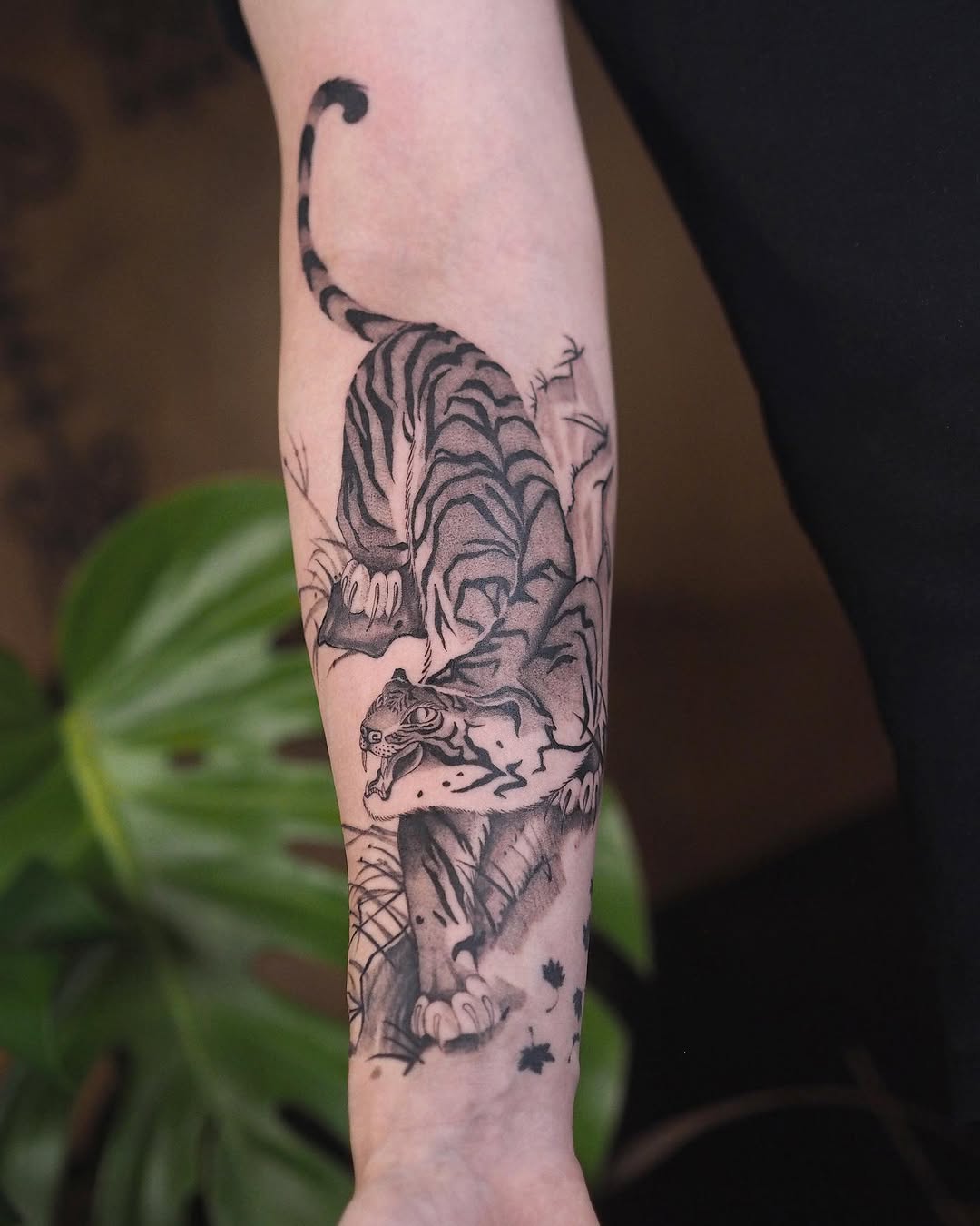 Tiger