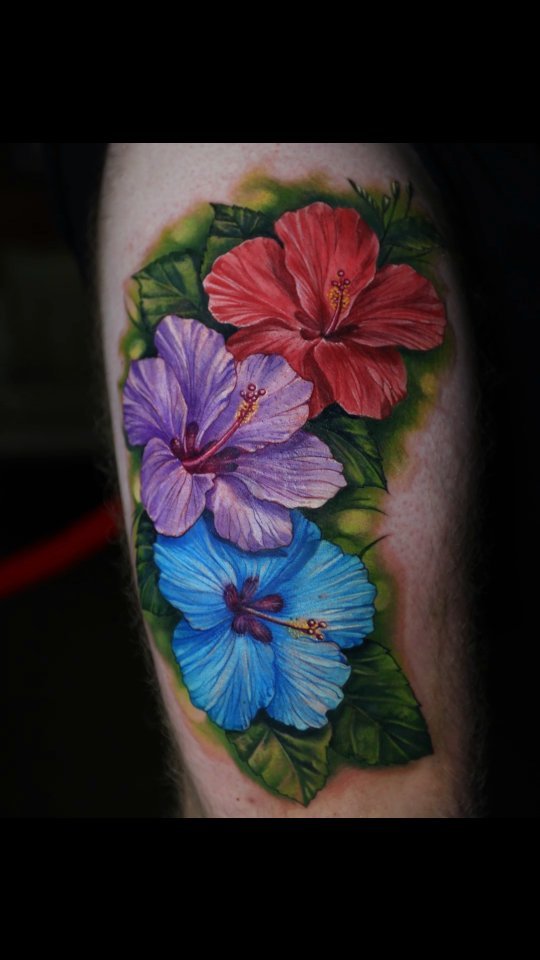 Flower, Nature