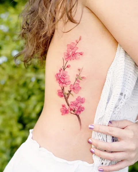 Flower, 벚꽃, 매화, 백합