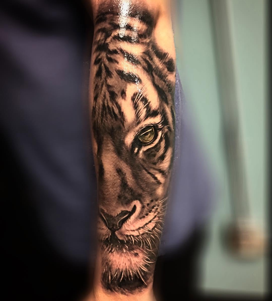 Tiger, 재규어, 일본 호랑이, 표범, 중국 호랑이