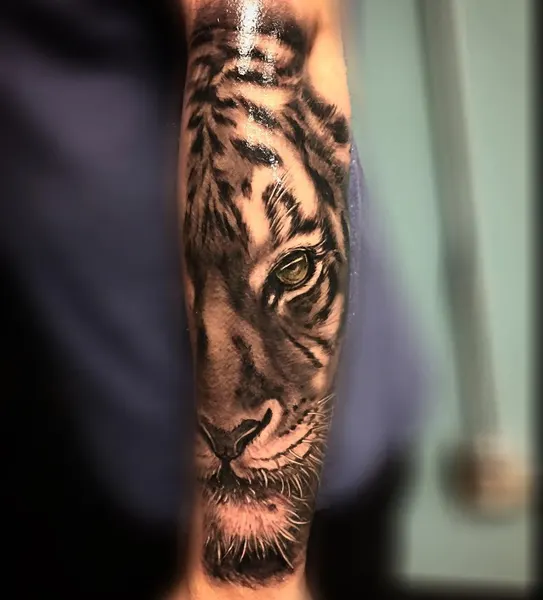 Tiger, 재규어, 일본 호랑이, 표범, 중국 호랑이