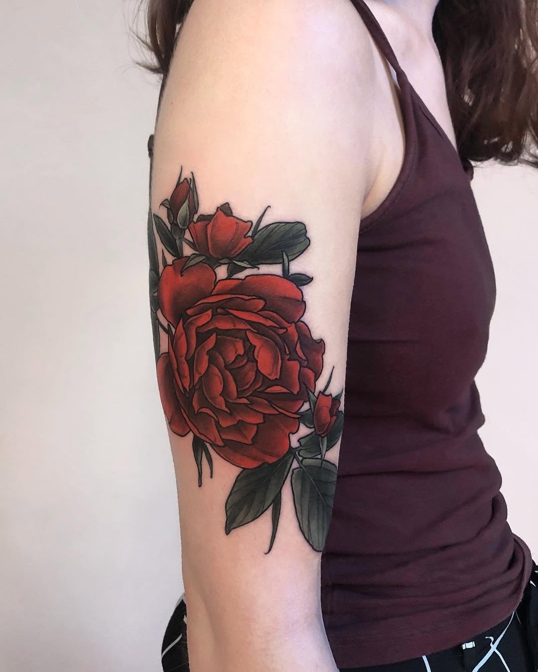 Flower, Rose, Nature