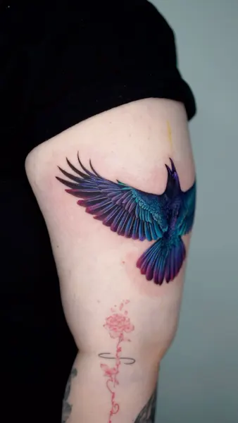 Animal, 날개, 불사조