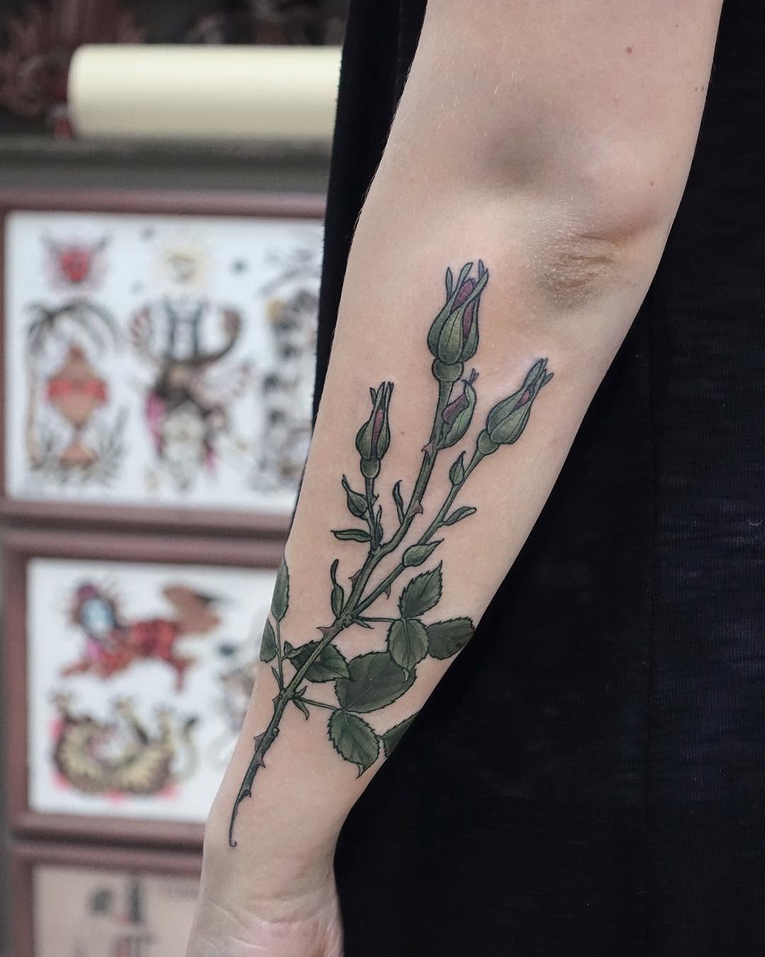 Flower, Rose