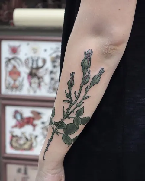 Flower, Rose