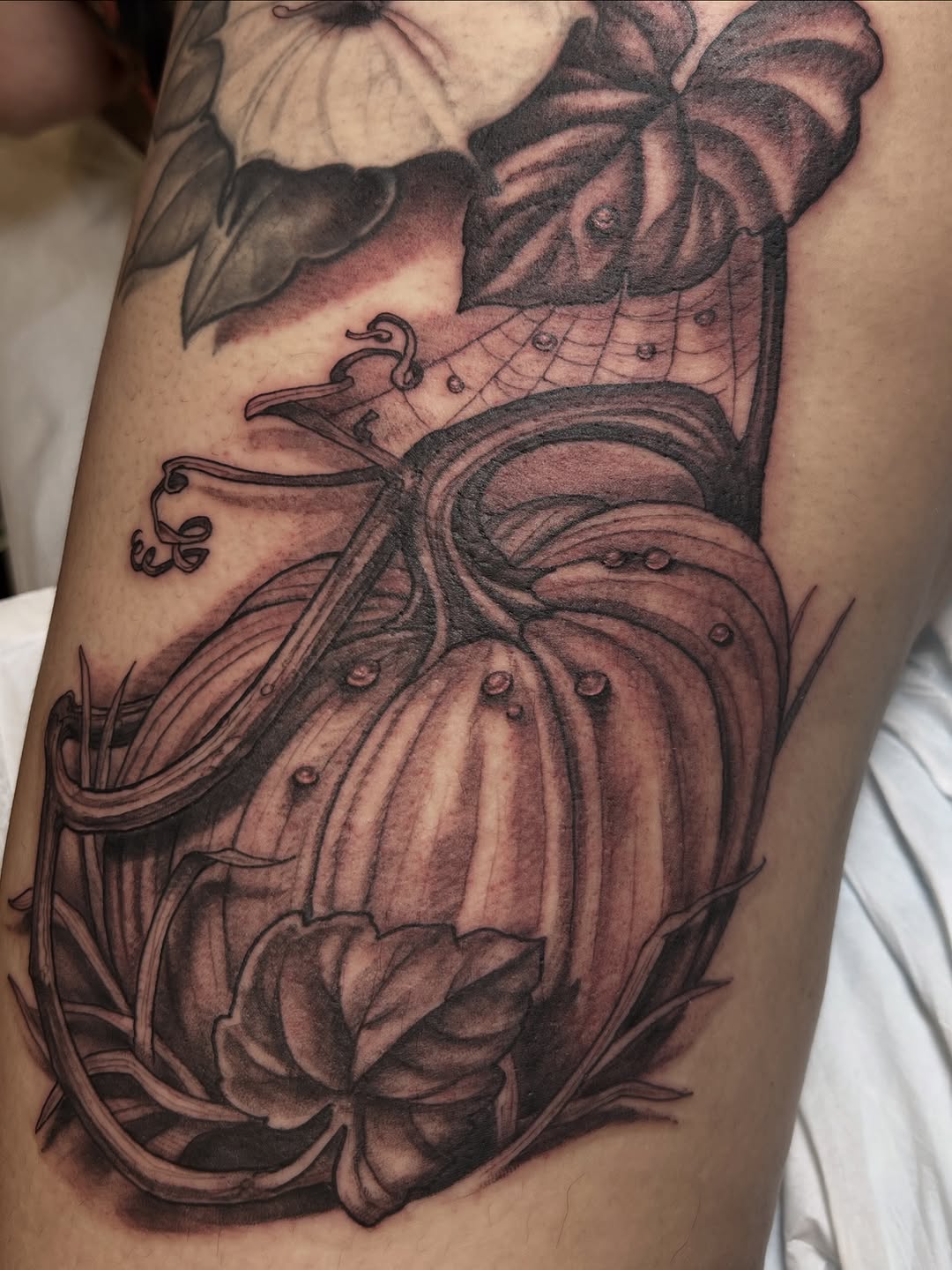 Flower, Rose, Mini