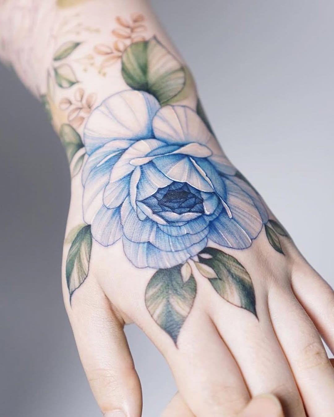 Rose, Flower, 목련