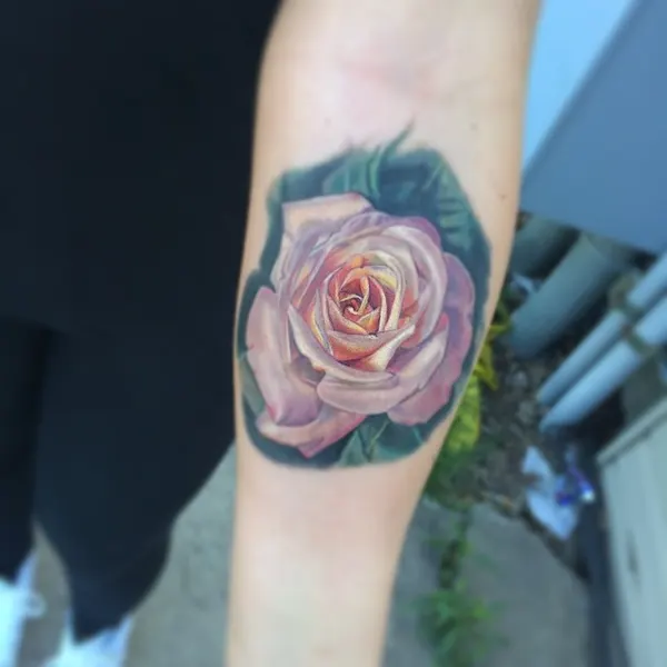Flower, Rose