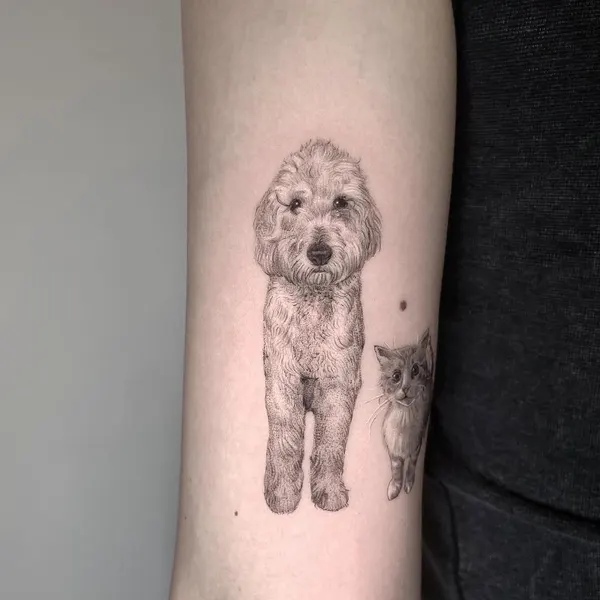 Animal