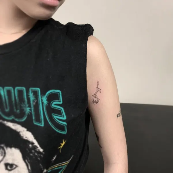 loko_lines