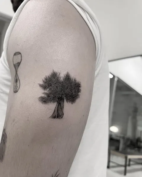 Nature, 나무, 단풍잎, 소나무, 뿌리, 민들레, 은행잎