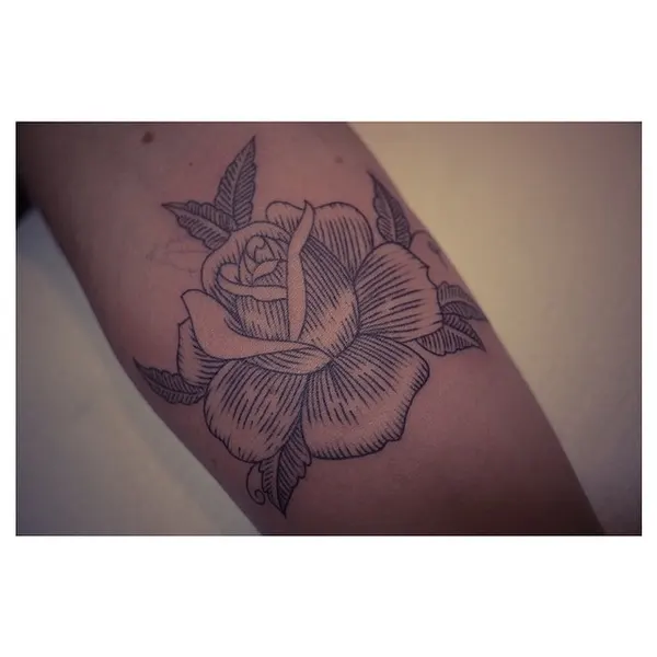 Flower, Rose