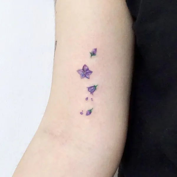 Flower, 라벤더