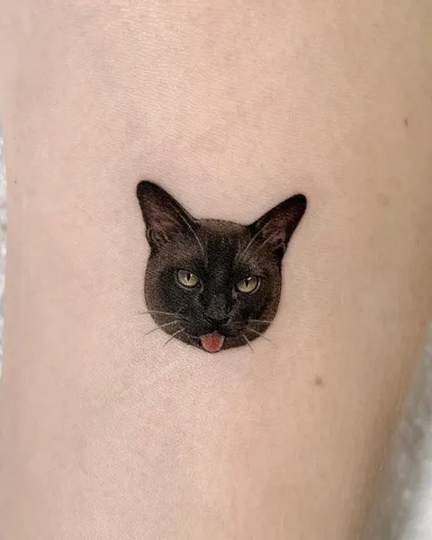 고양이